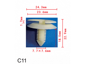 C0011