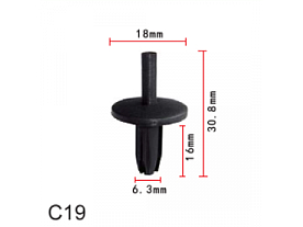C0019