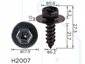 H2007