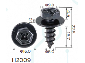 H2009