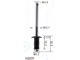 H2011
