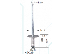 H2029