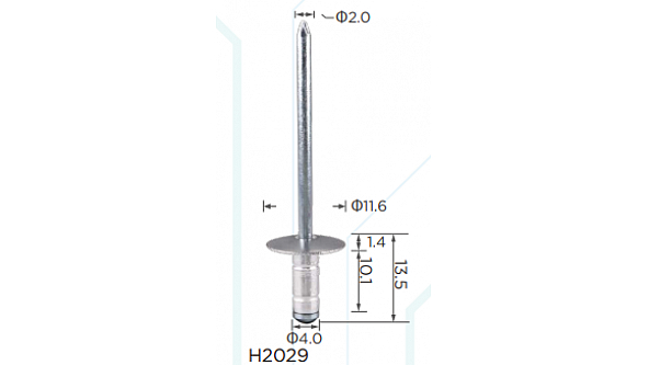 H2029