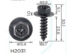 H2031
