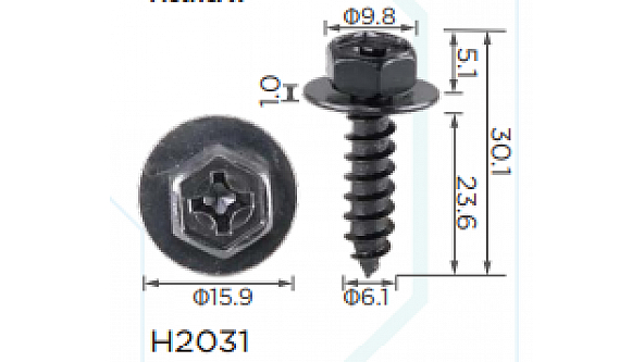 H2031
