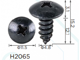H2065