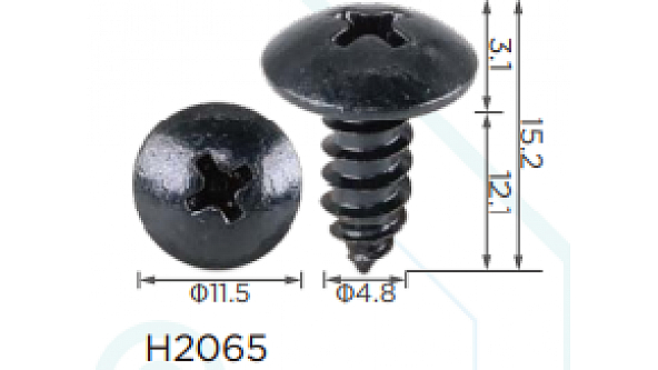 H2065