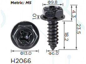 H2066