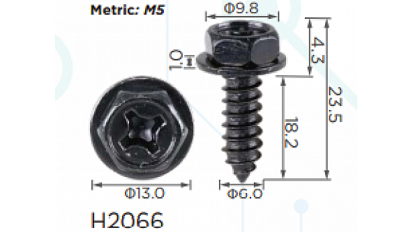 H2066