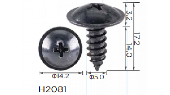 H2081