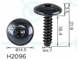 H2096