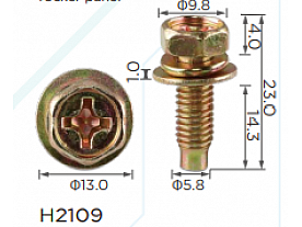 H2109