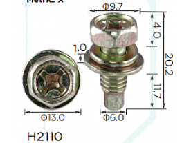 H2110