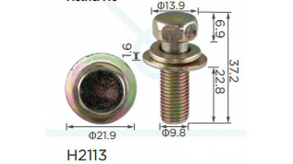 H2113