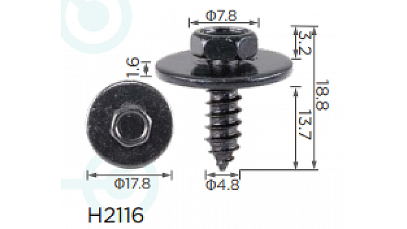 H2116