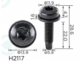 H2117