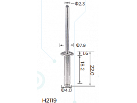 H2119