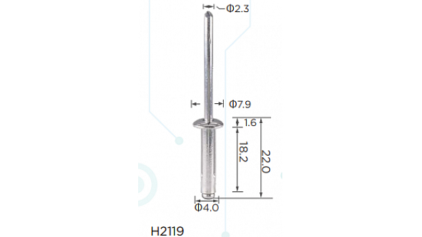 H2119