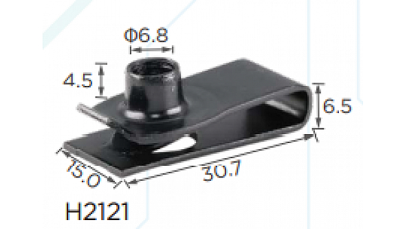 H2121