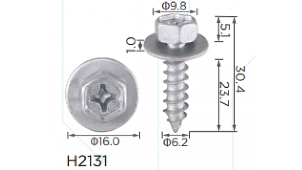 H2131