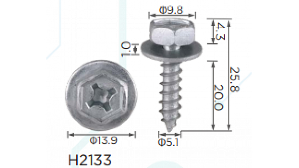 H2133