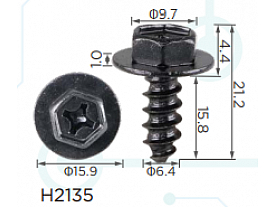 H2135