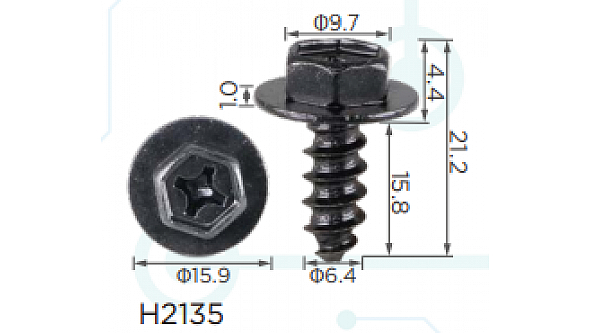 H2135