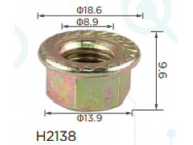 H2138