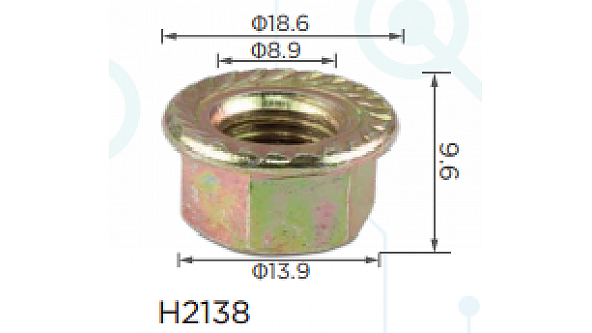 H2138