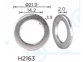 H2163