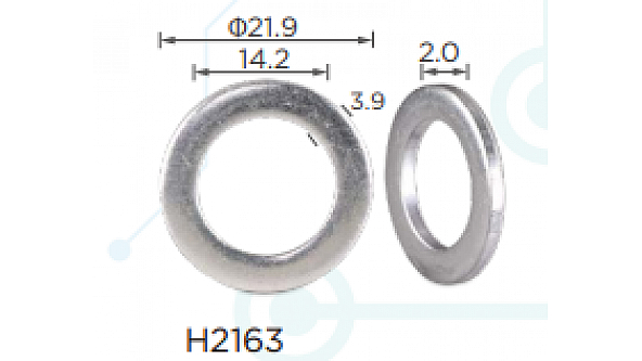 H2163