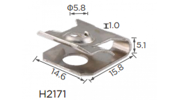 H2171