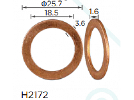 H2172