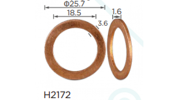 H2172