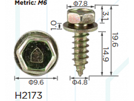 H2173