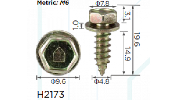 H2173