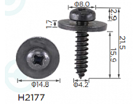H2177