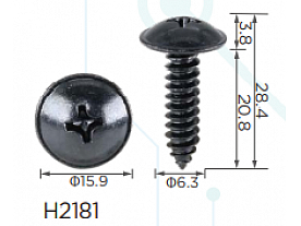 H2181
