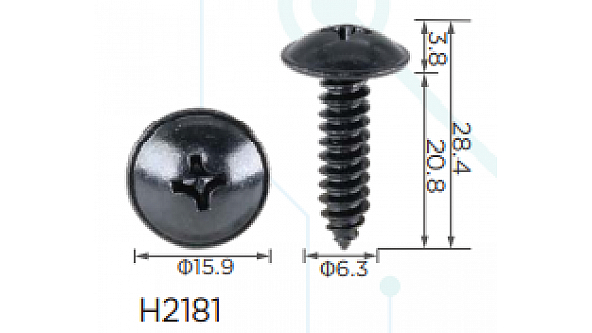 H2181