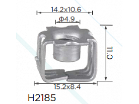 H2185