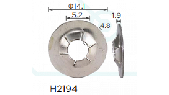 H2194