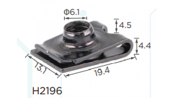 H2196