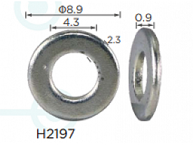 H2197