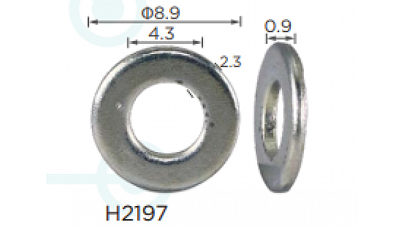 H2197