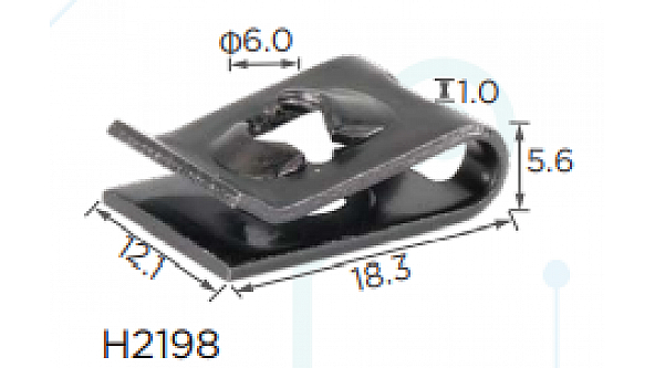 H2198