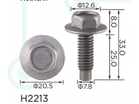 H2213