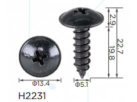 H2231
