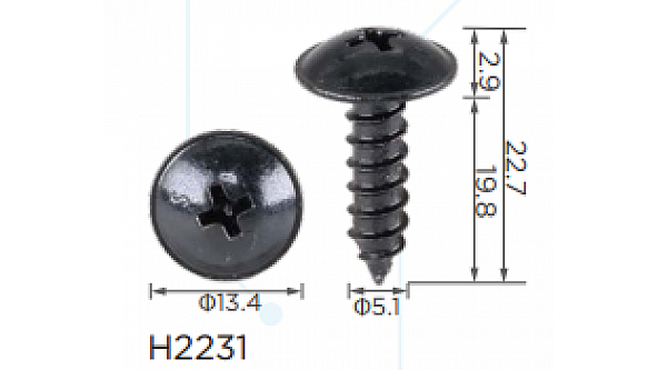 H2231