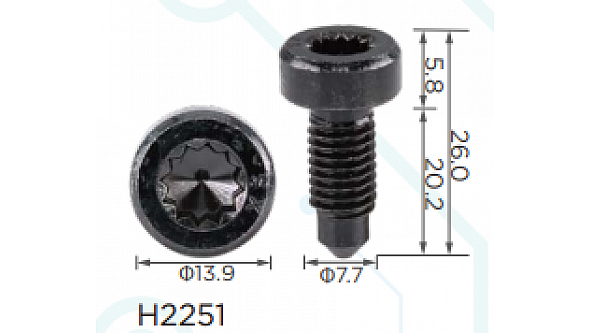 H2251