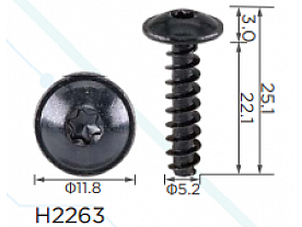 H2263